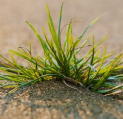 자궁근종 증상과 자궁근종 명의 서울