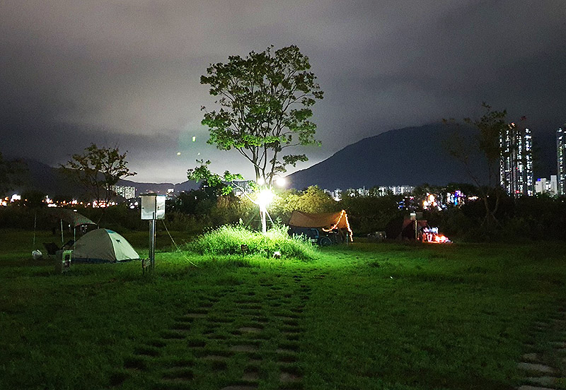 부산 대저생태공원 대저캠핑장 소개