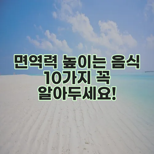 면역력 높이는 음식 10가지 꼭 알아두세요!
