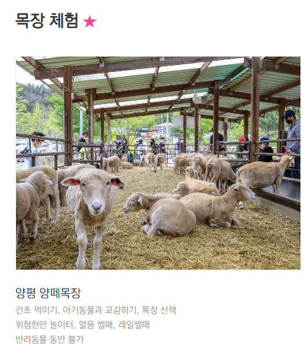 2023 겨울엔 양평 양평겨울축제 농촌체험 프로그램