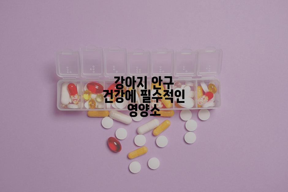 강아지 안구 건강에 필수적인 영양소