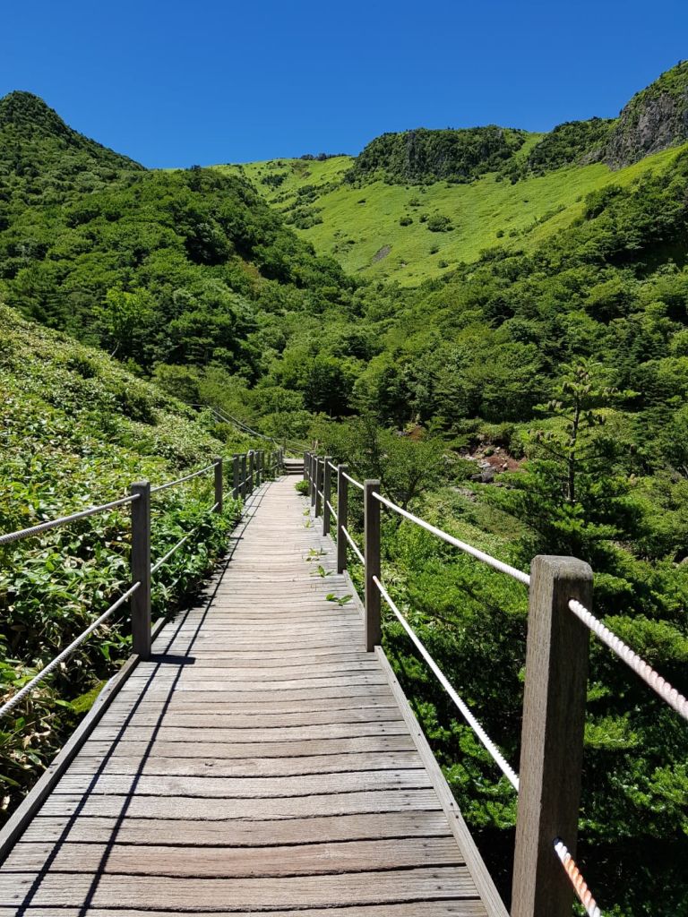 한라산 관음사 등산코스 예약