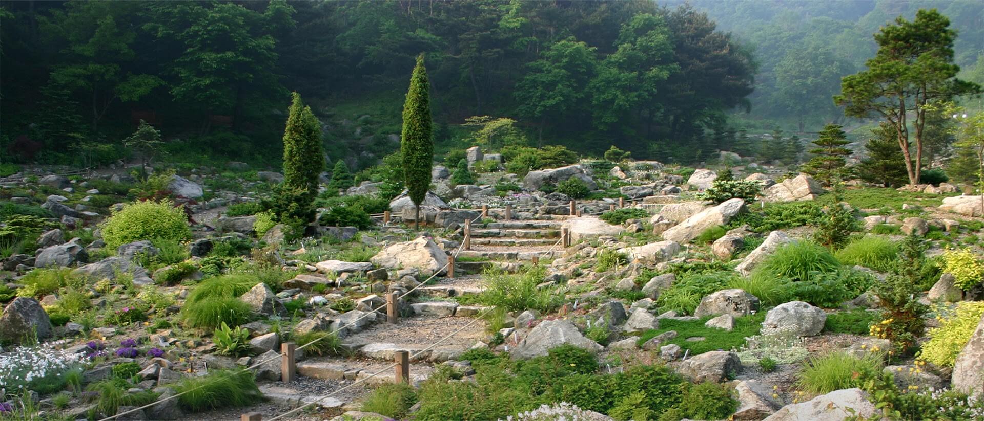 경기도 포천 평강랜드 수국