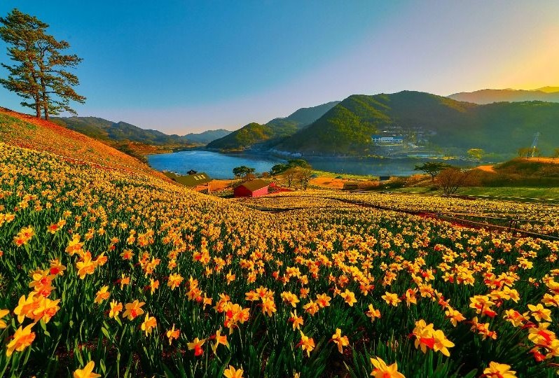 구례 지리산 치즈랜드