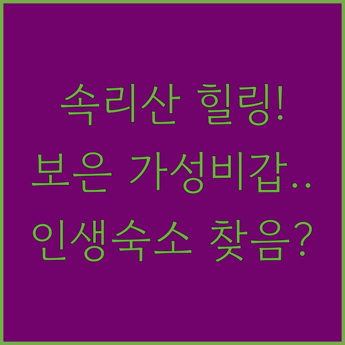 속리산 근처 힐링하기 좋은 펜션과 가..