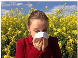 알레르기 증상 원인