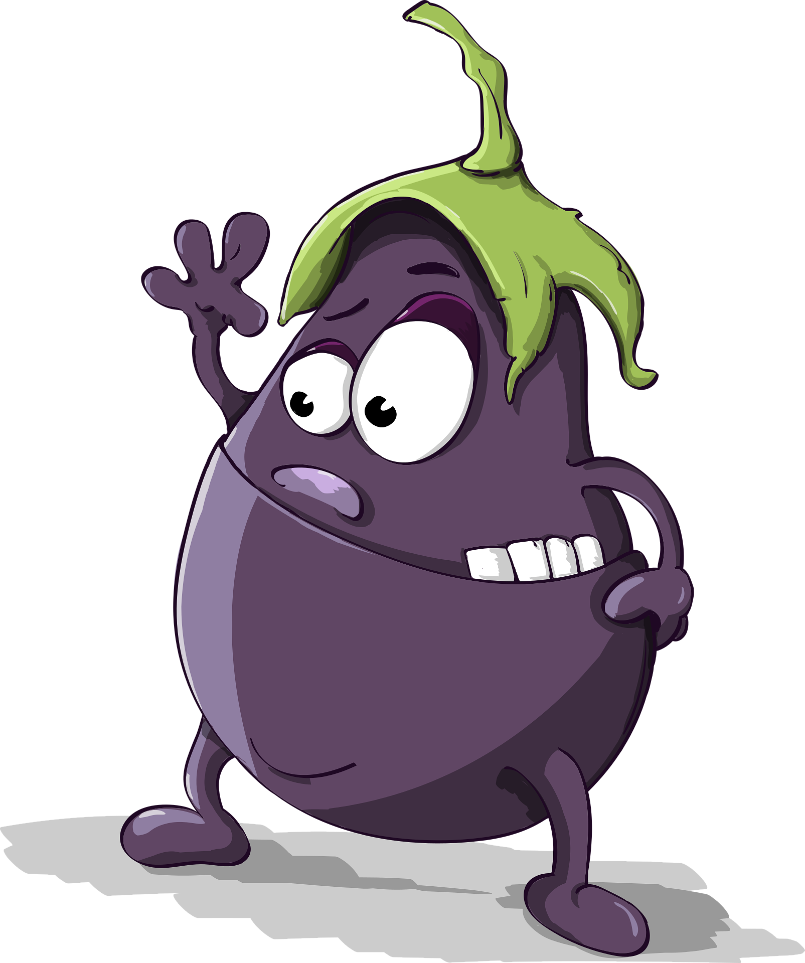 저온 장애 주의! 가지 냉장고 보관의 정답|가지 명당자리 제대로 찾는 법