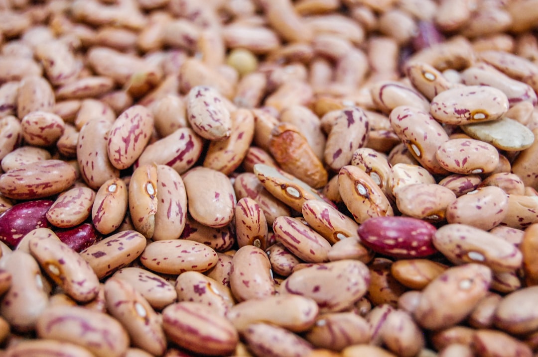 Beans