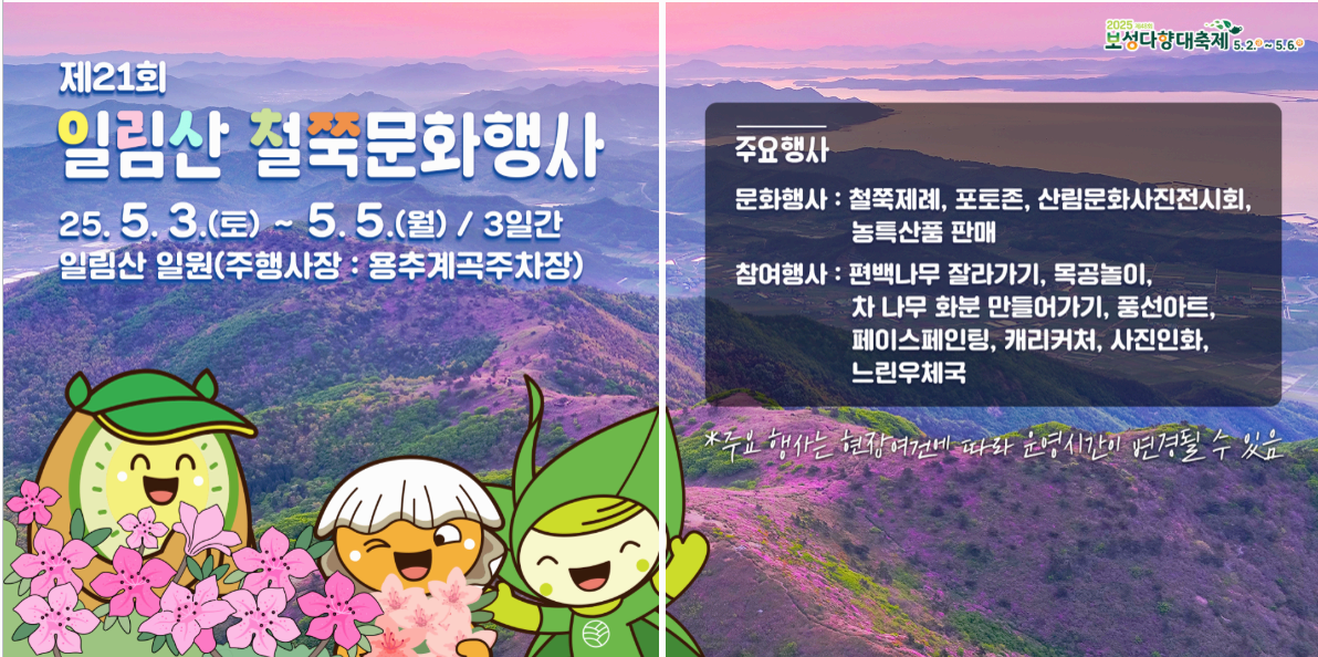 [5월 축제]2025 일림산철쭉문화행사❘전남 보성철쭉축제 기간, 일정, 프로그램, 셔틀 정리