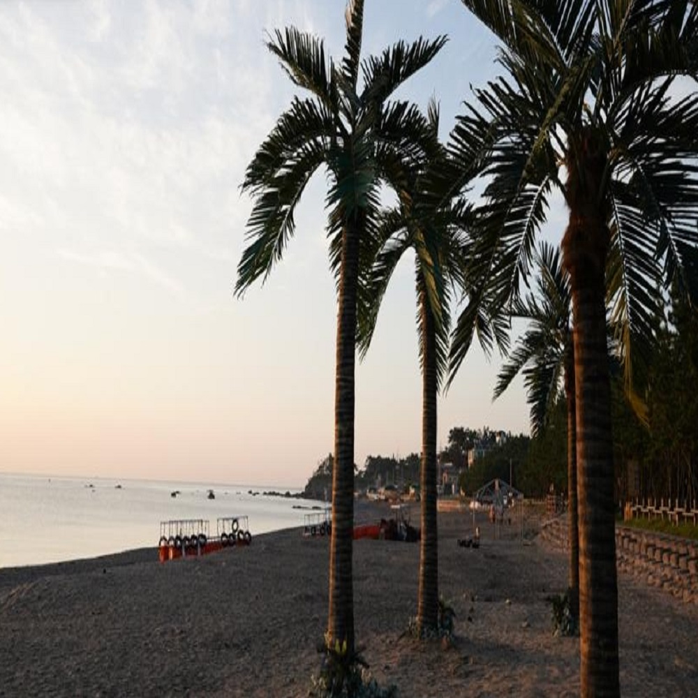 오류 해수욕장 바로가기