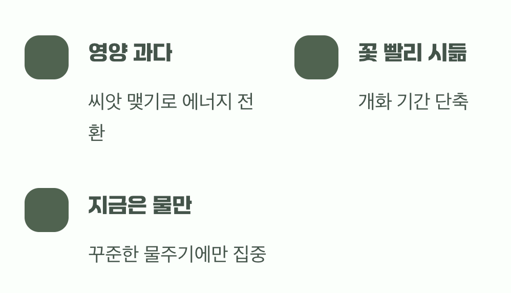 비료, 지금은 참으세요