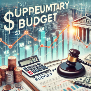 추가경정예산 관련 사진