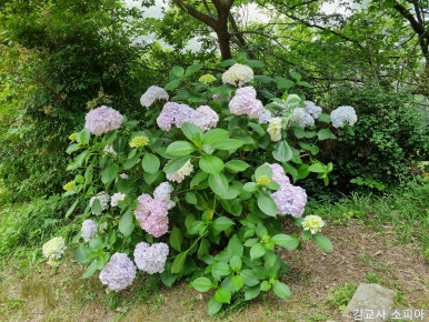 부산 태종대 폭염 여행 리얼후기🌊 여름 필수템 8가지 추천