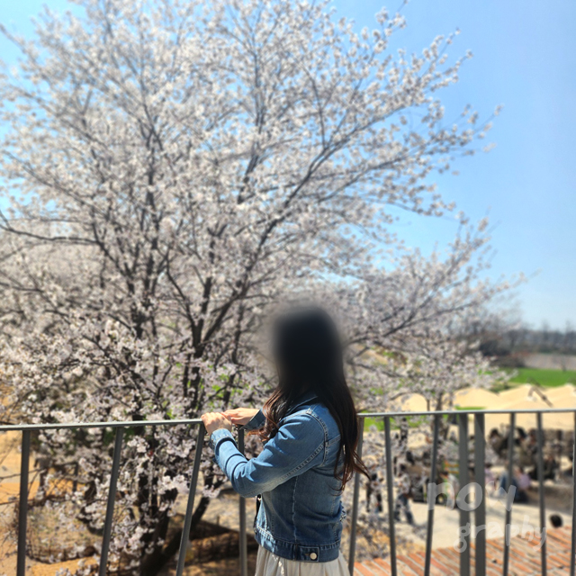 충남-당진-피어라-카페