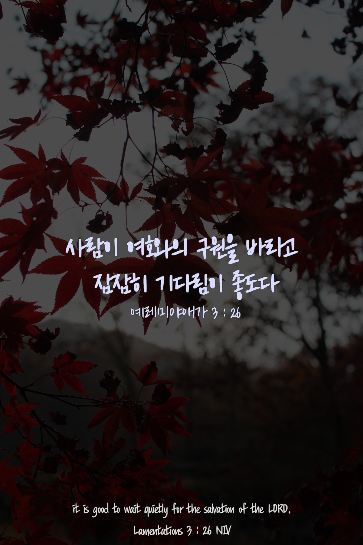 예레미야애가 3장