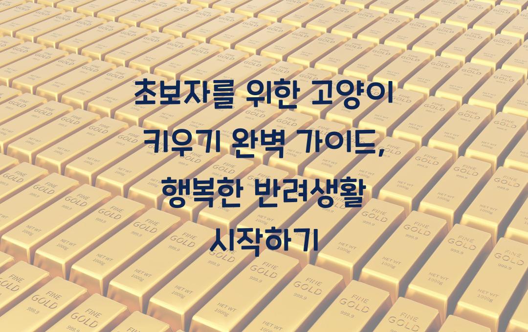 초보자를 위한 고양이 키우기 완벽 가이드