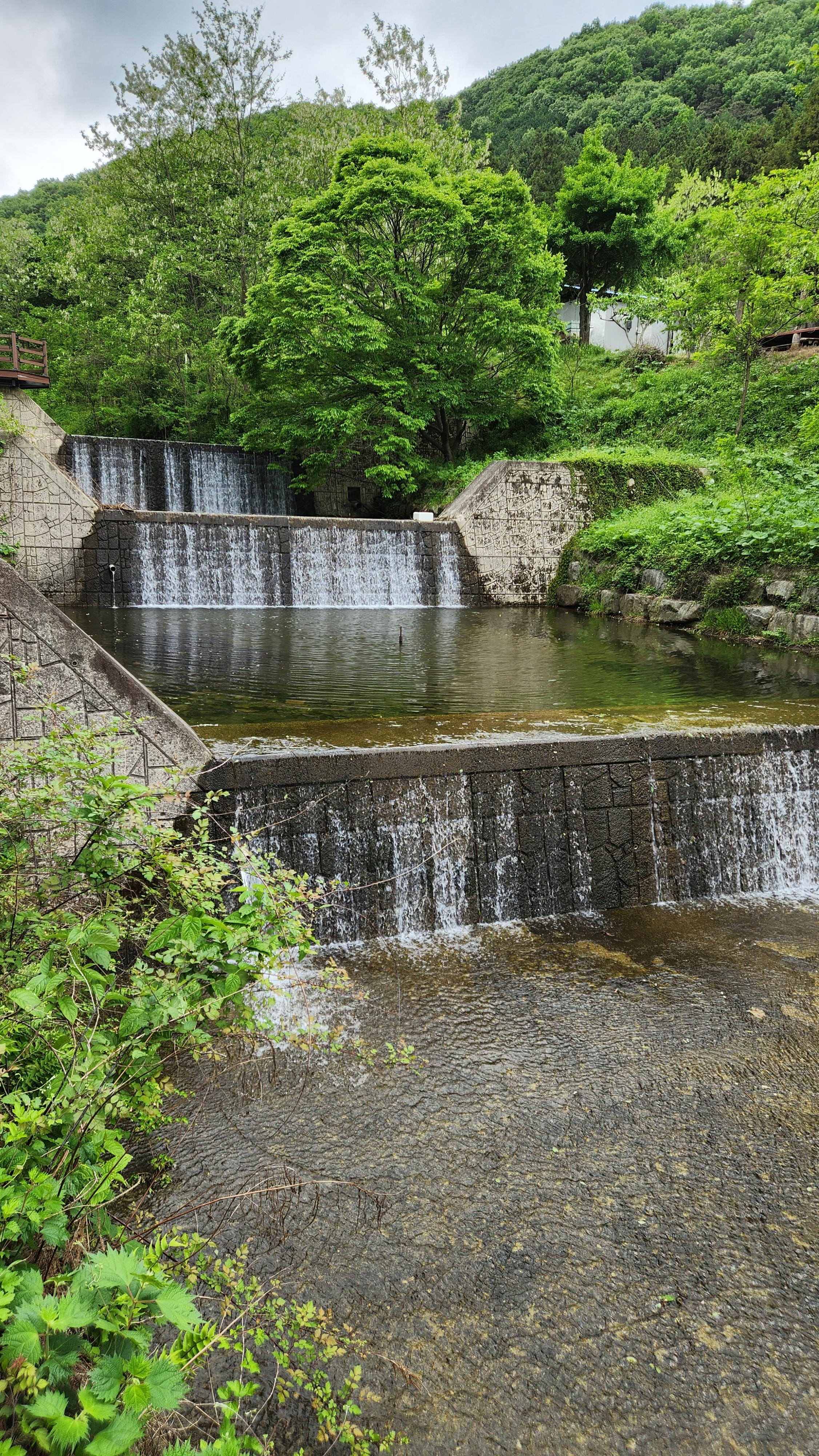장성 치유의숲 사방댐