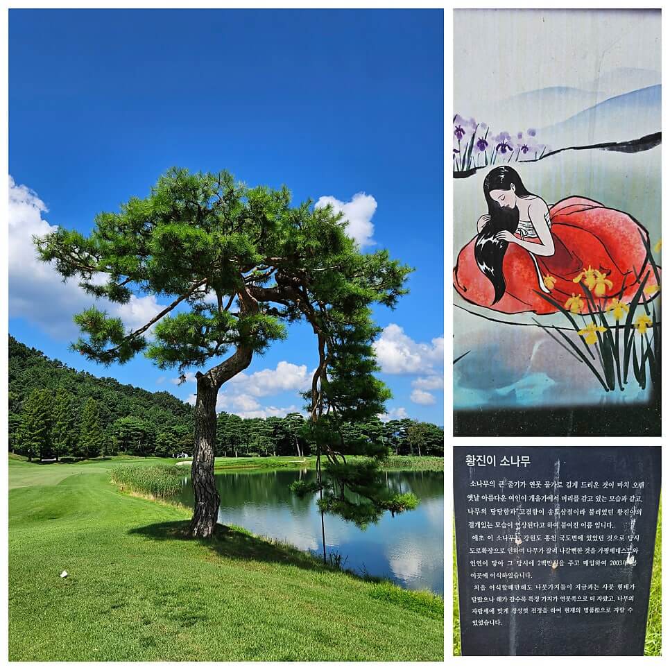 골프장 경험담 가평 베네스트cc 골프 삼성에서 운영하는 명문 골프장