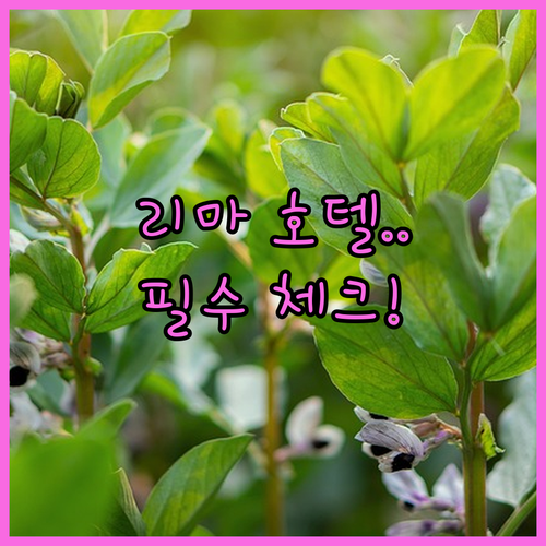 페루 리마 호텔 추천 5곳 위치별 특..