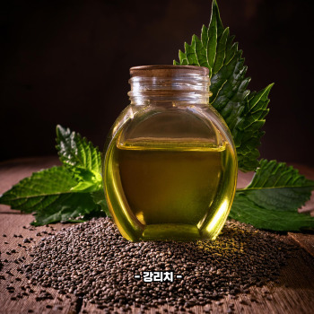 오메가3 많은 음식