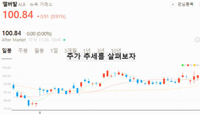 미국 전기차 관련주 대장주 테마주 수혜주 TOP5