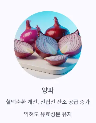 양파 효능