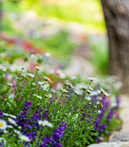 화담숲 예약 할인