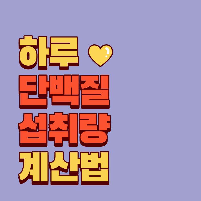 하루 단백질 섭취량 계산법