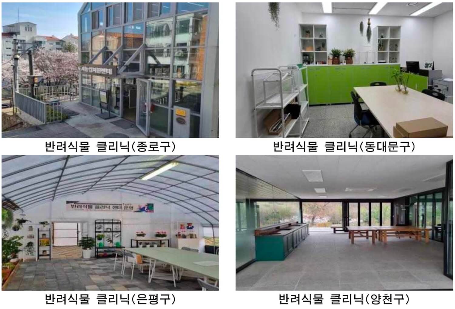 서울시 반려식물 클리닉 신청방법 예약