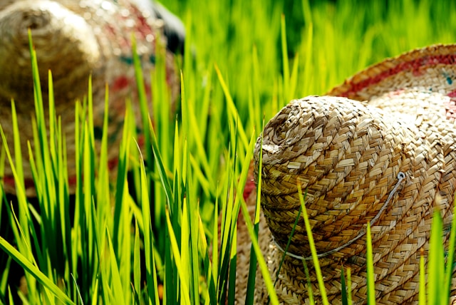 고향사랑기부제 세액공제 계산