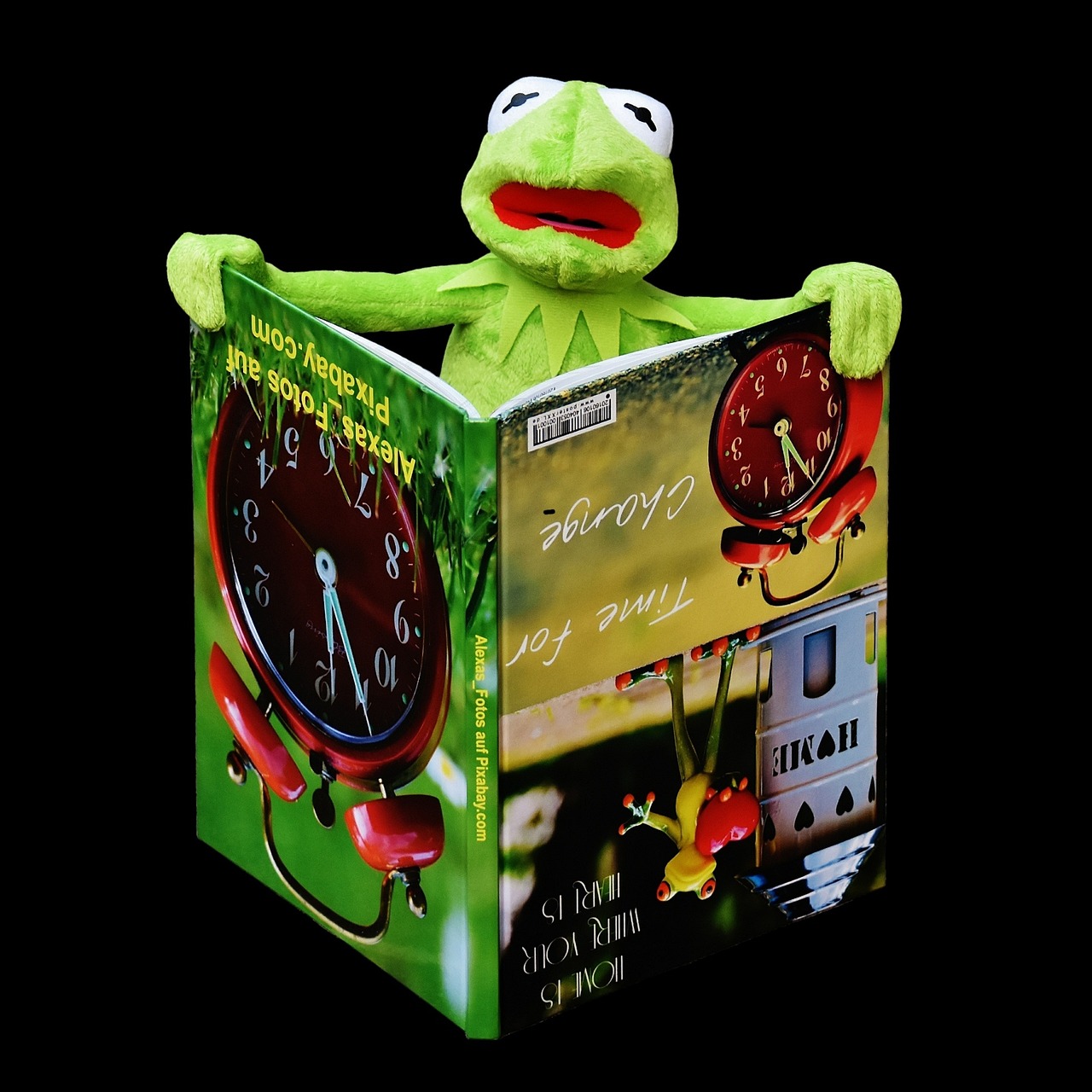 성인을 위한 그림책 강의,2025년 가을 프로그램 안내