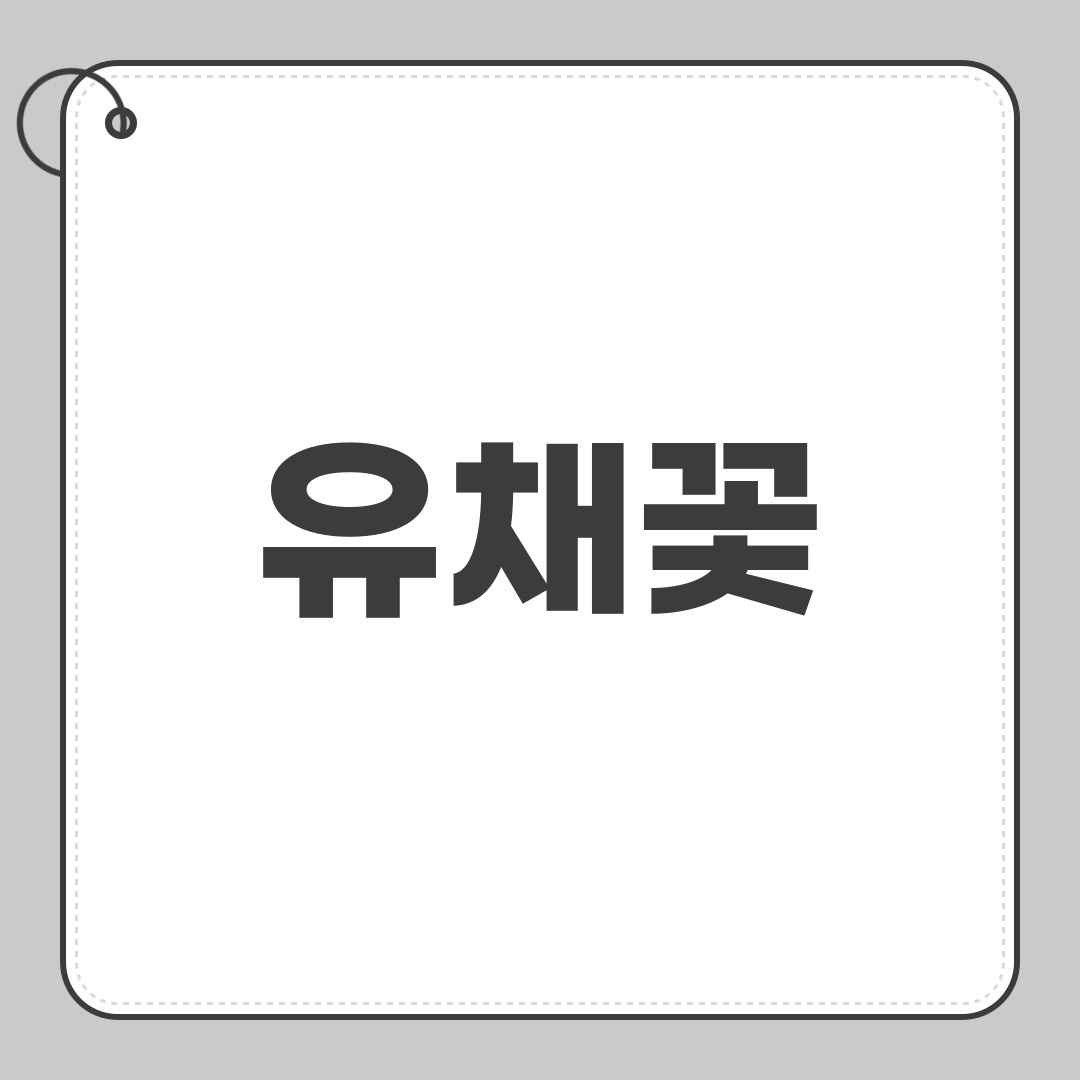 유채꽃