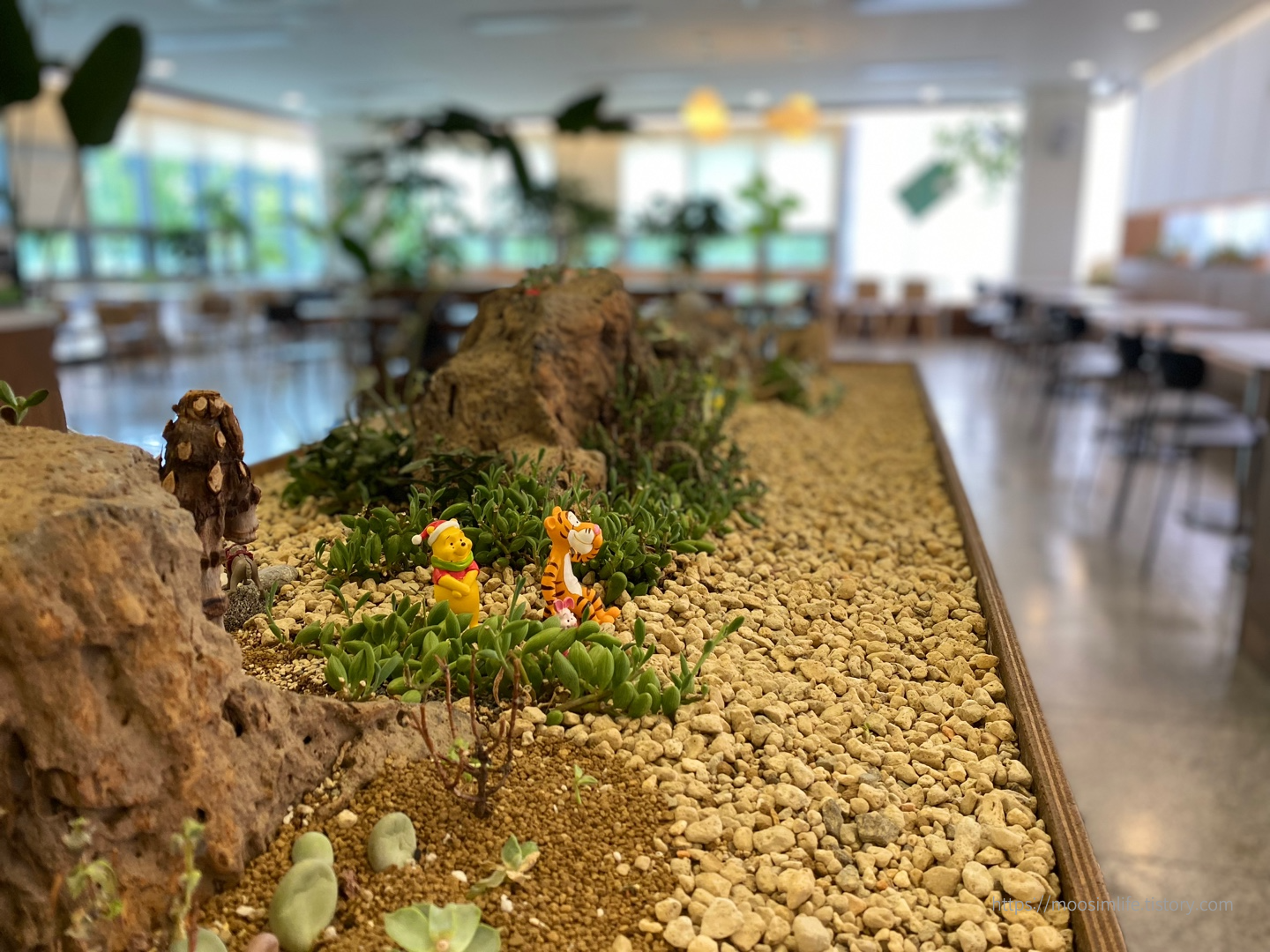 세종중앙공원 -카페세종리