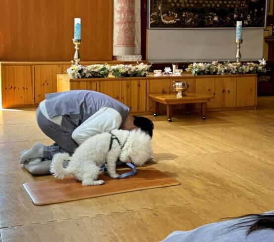 강아지와 주인이 함께 절을 하는 모습