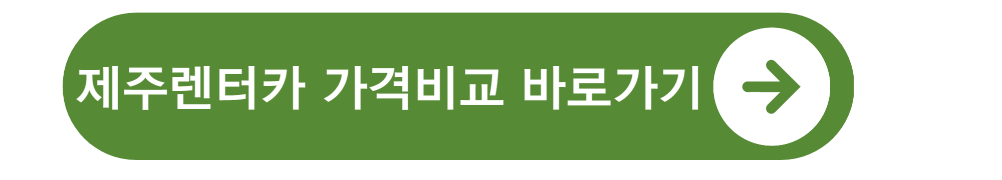 렌터카 이용시 주의사항