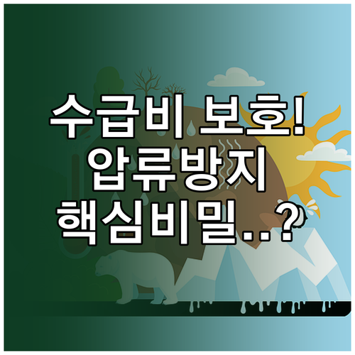 압류방지계좌 입금 제한 이유와 수급비..