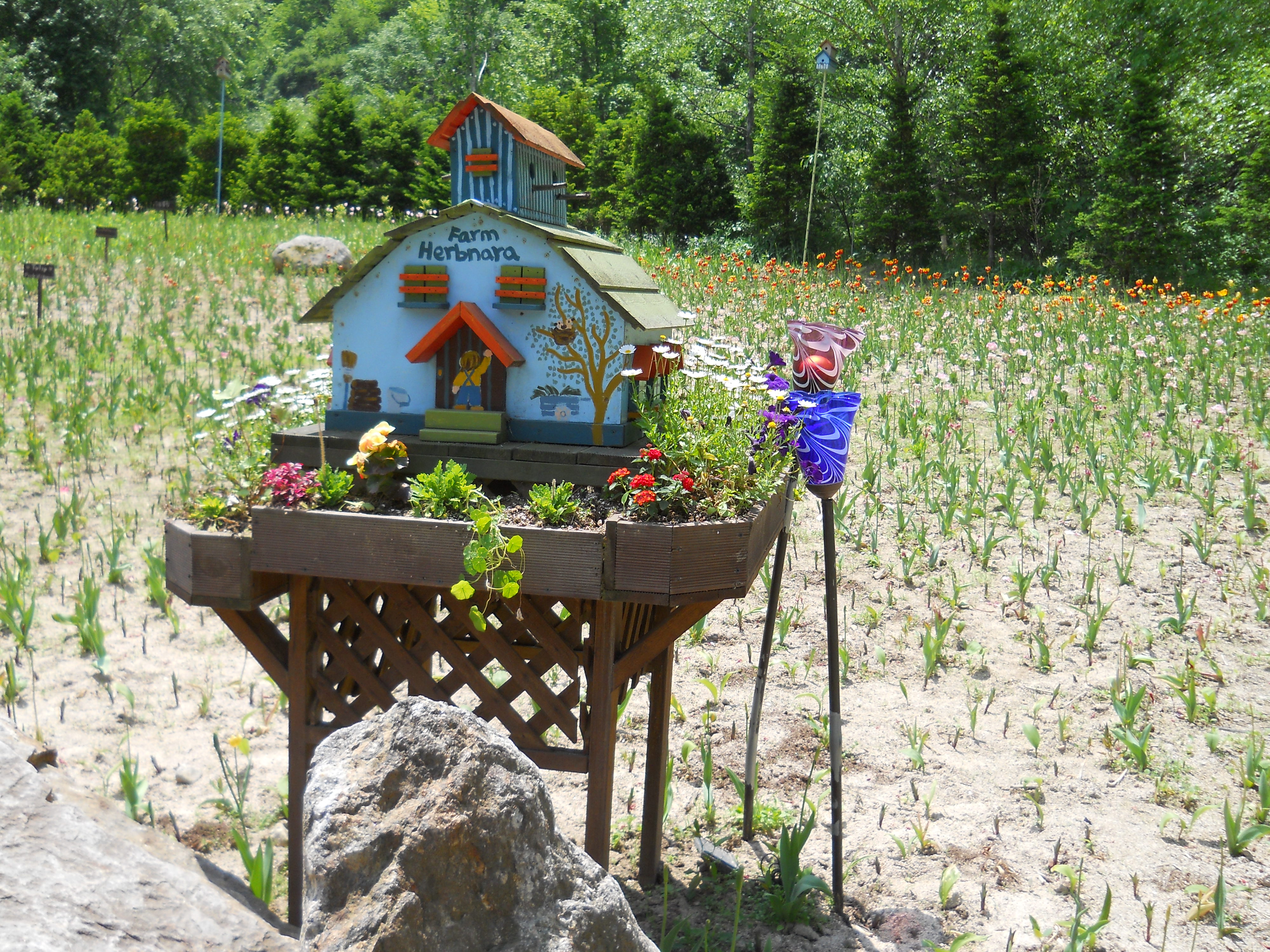 평창 허브나라 농원(Herbnara Farm)