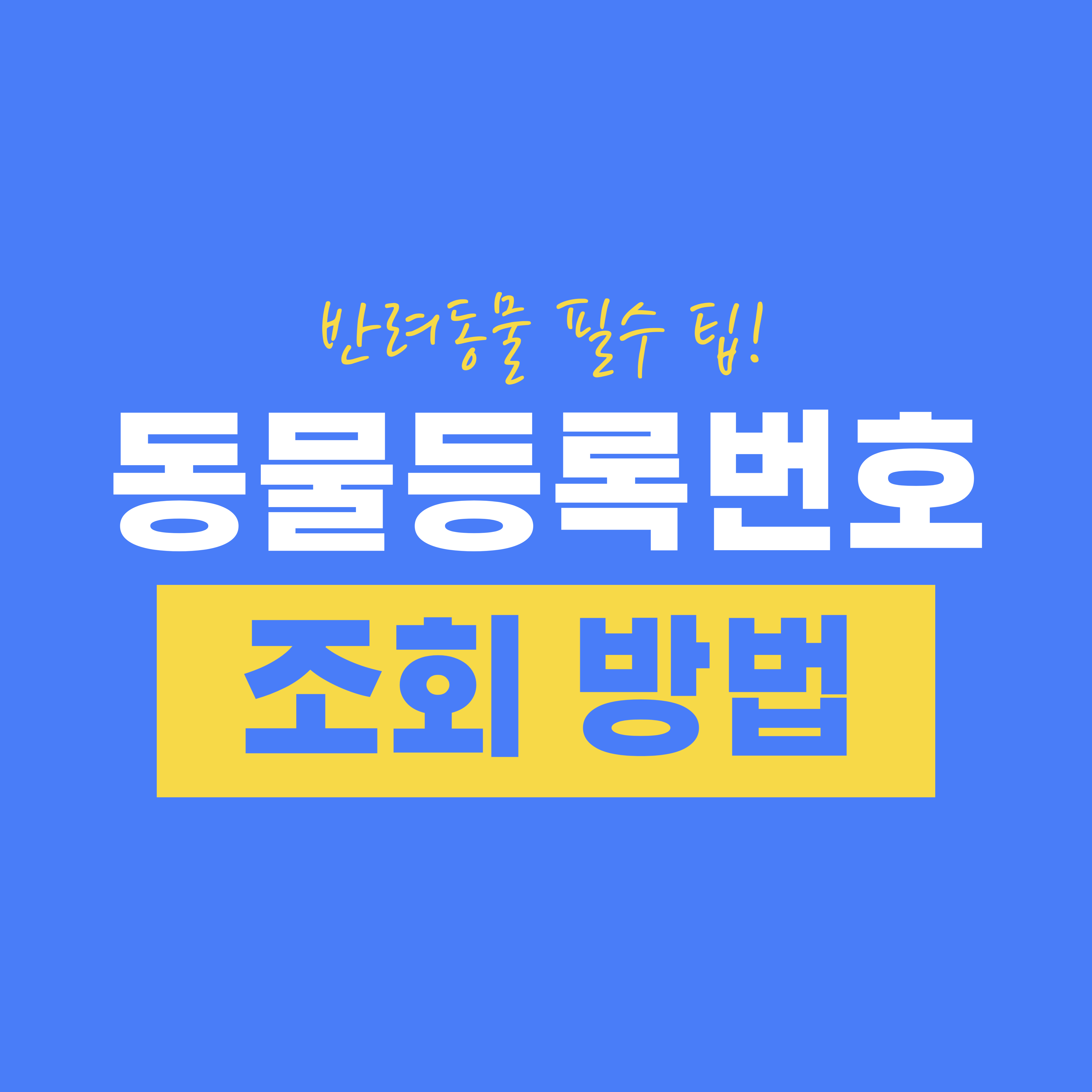 반려동물 등록 방법부터 등록번호 조회까지! 반려동물 필수 팁