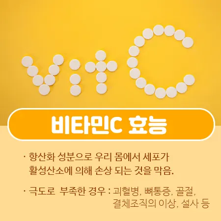 비타민C 효능