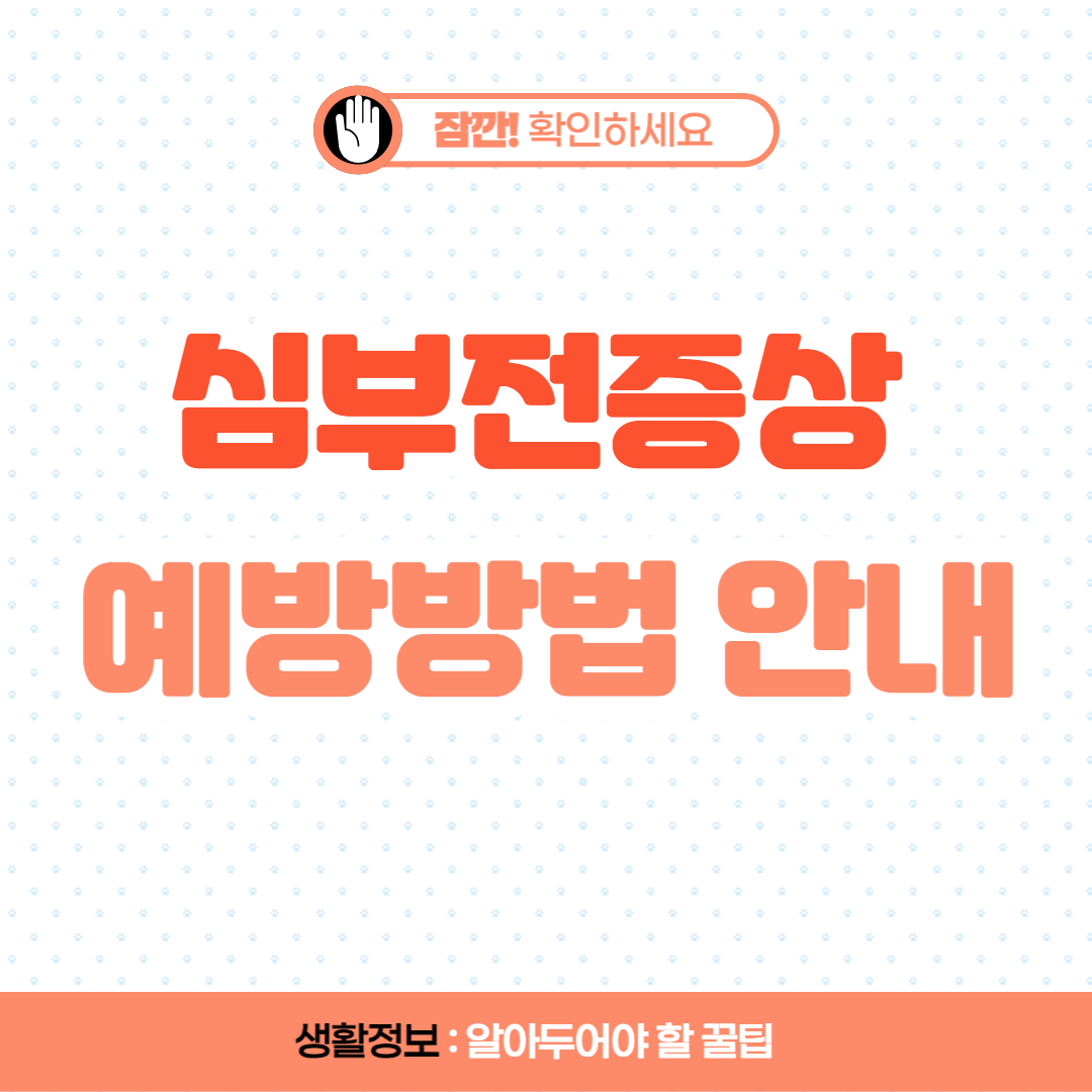 심부전증상 예방방법