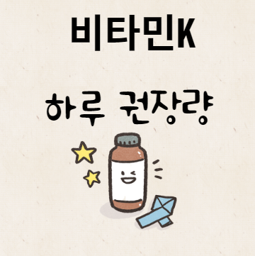 비타민K하루 권장량