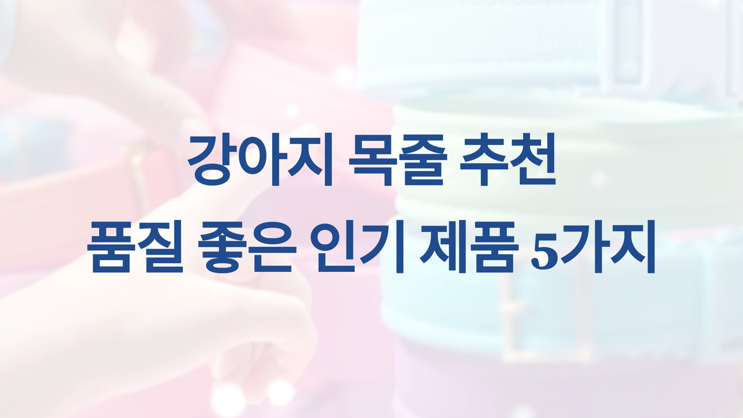 강아지 목줄 추천 품질 좋은 인기 제품 5가지