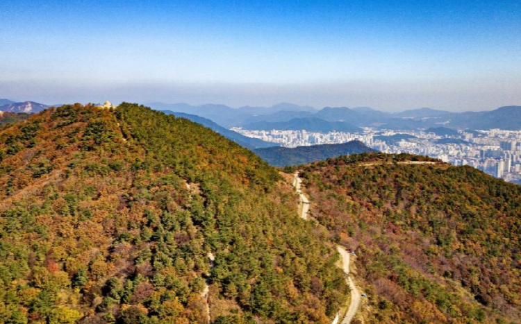 백양산 등산코스