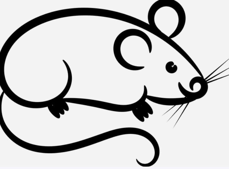 2023년쥐띠건강운