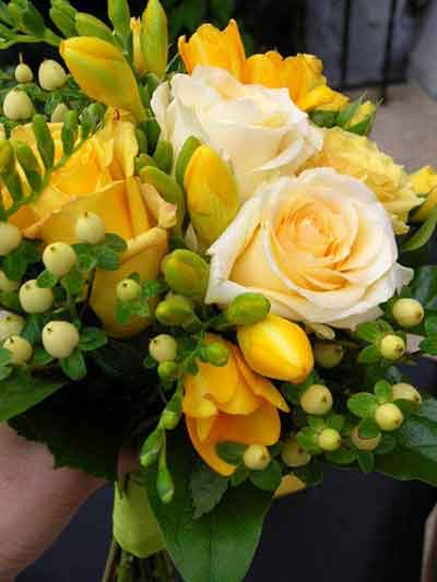 프리지아 꽃 선물하기