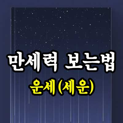 만세력 보는법 - 썸네일