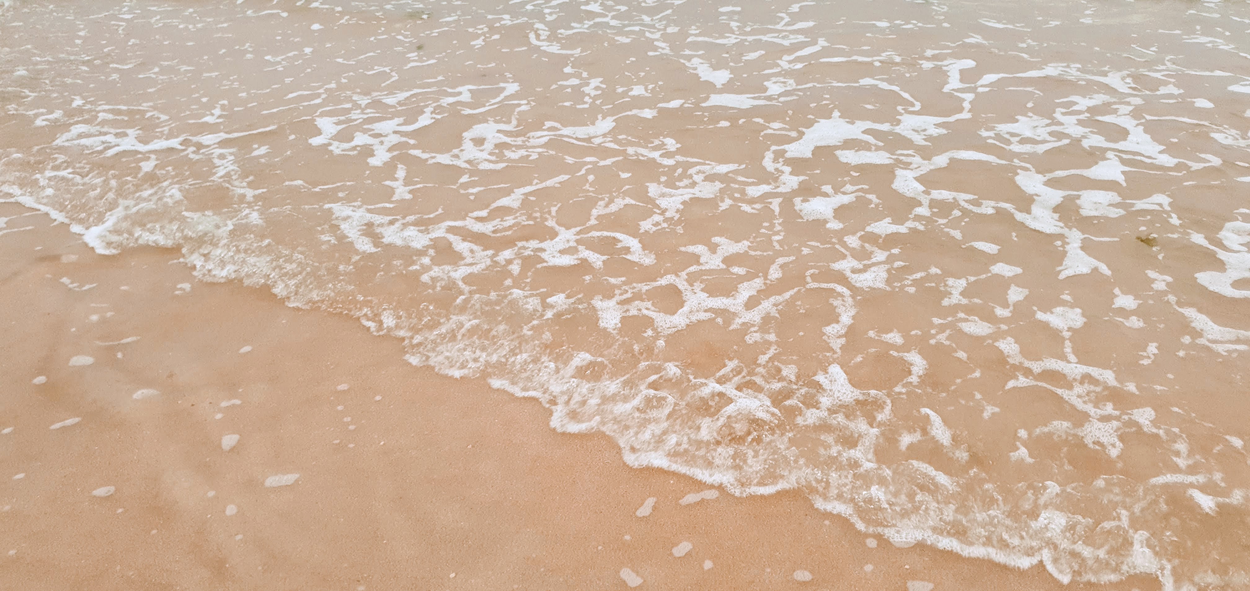 대천해수욕장 호텔