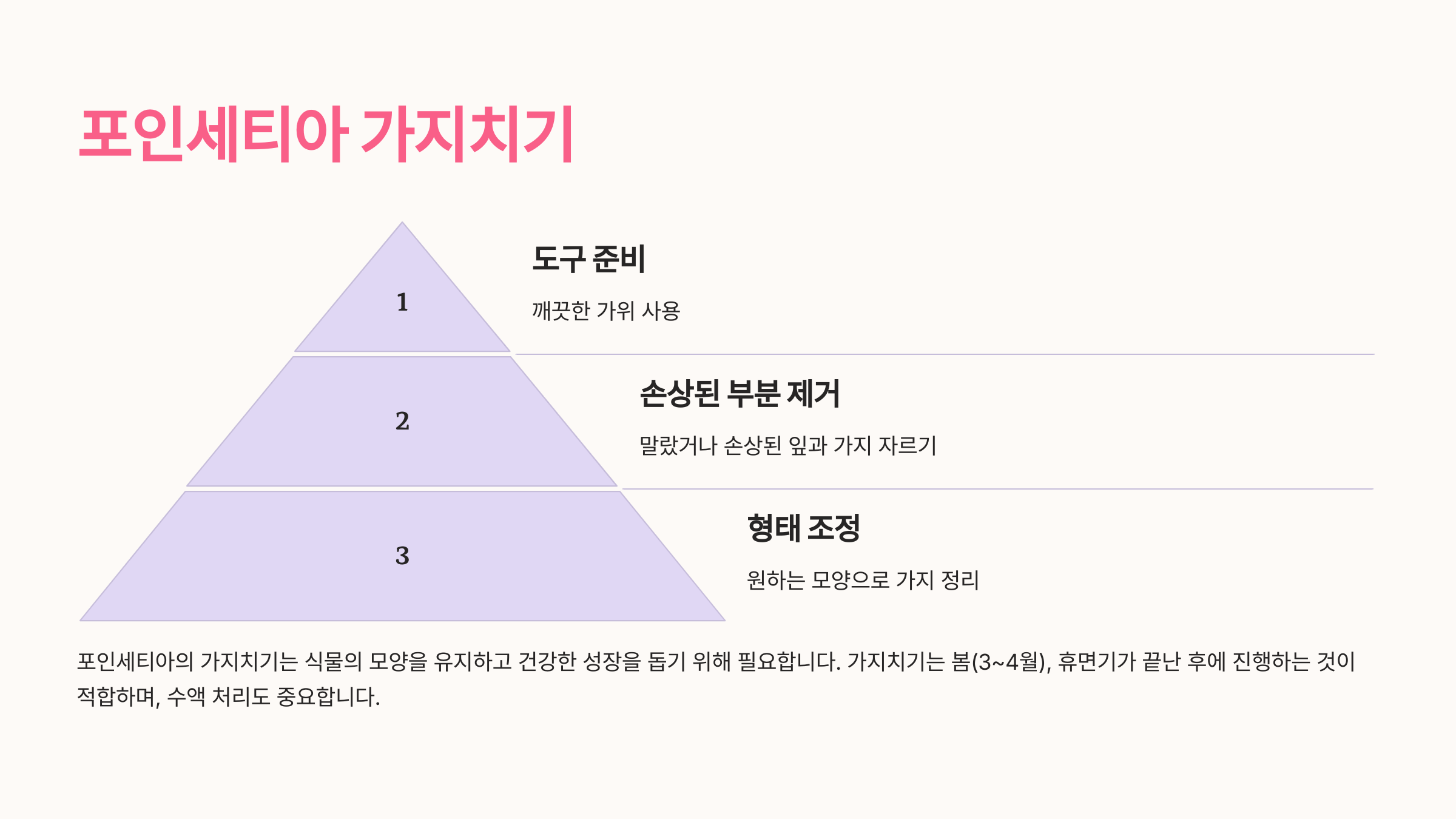 포인세티아 사진입니니다.