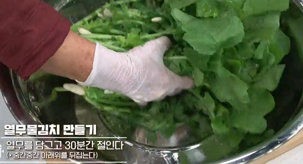 열무물김치담그는법