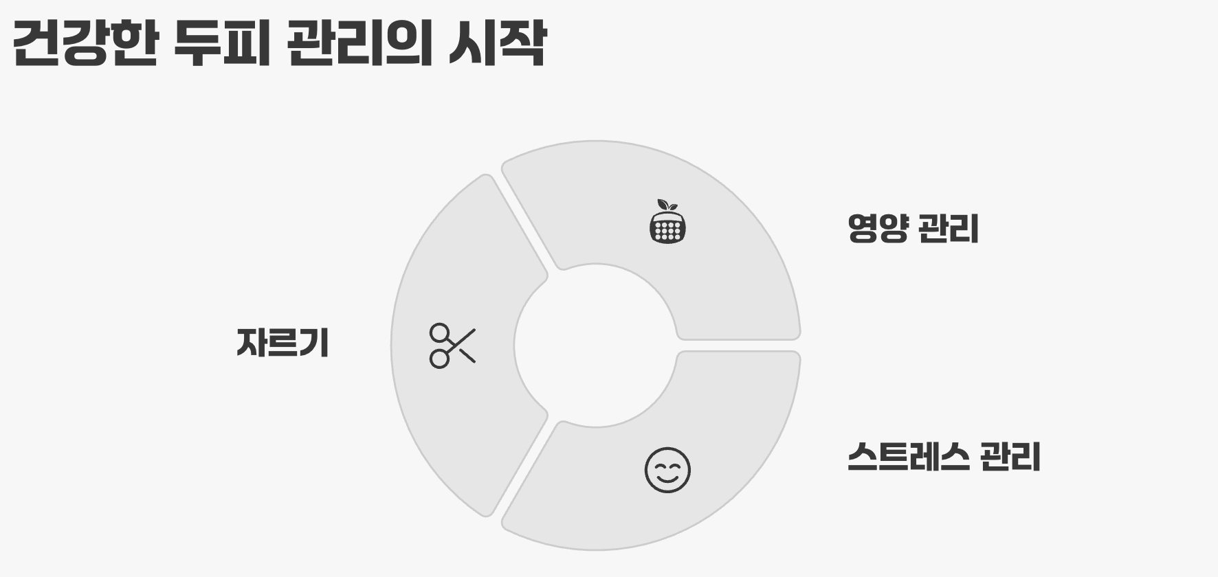 건강한 두피 관리의 시작